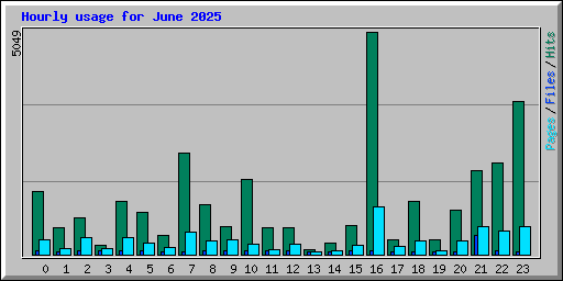 Hourly usage for June 2025