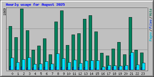 Hourly usage for August 2025