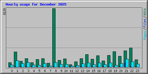 Hourly usage for December 2025