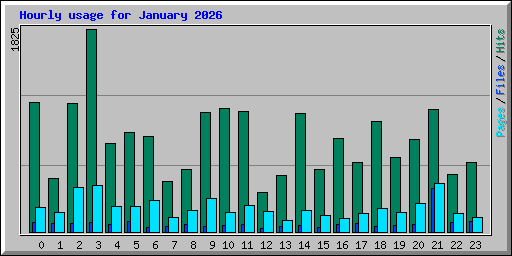 Hourly usage for January 2026